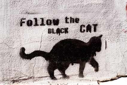 followtheblackcat