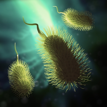 Scientific illustration of a bacteria - 3d rendered image