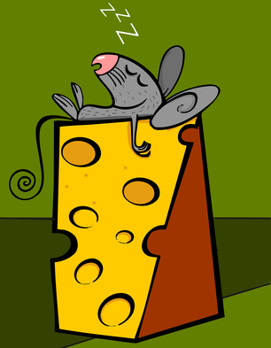 Small mouse sleeps on a piece of cheese