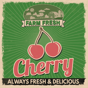 Cherry vintage grunge retro advertising poster, vector illustration.  Retro vegetables for farm fresh